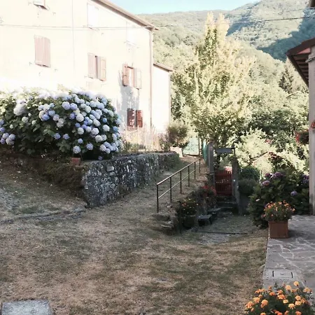 Il Ghiro