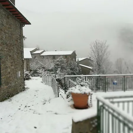 Il Ghiro