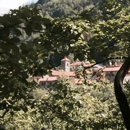 Il Ghiro Bed and Breakfast *