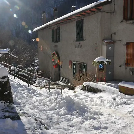 Il Ghiro