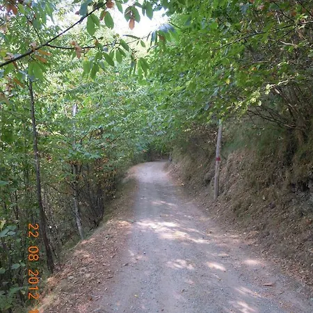 Il Ghiro