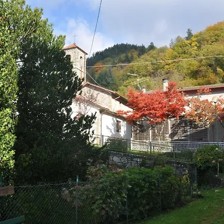 Il Ghiro